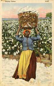 Drying Cotton - Carey's Emporium