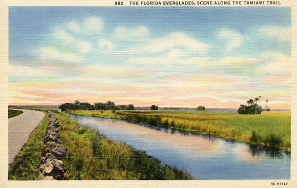 Scene along the Tamiami Trail, Everglades National Park - Carey's Emporium
