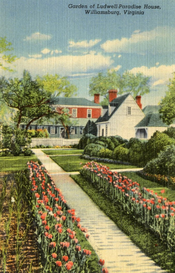 Garden of Ludwell-Paradise House, Williamsburg, VA - Carey's Emporium