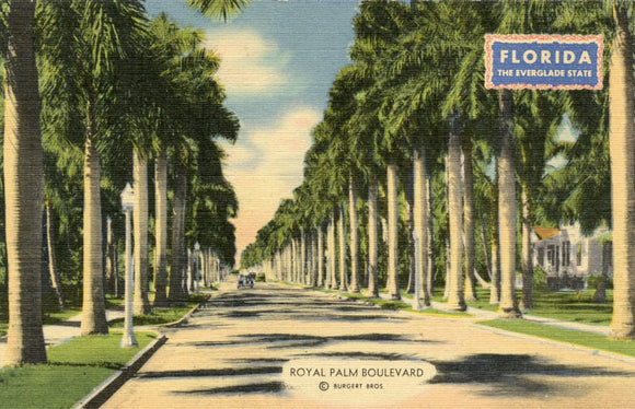 Royal Palm Boulevard, Tampa, FL - Carey's Emporium