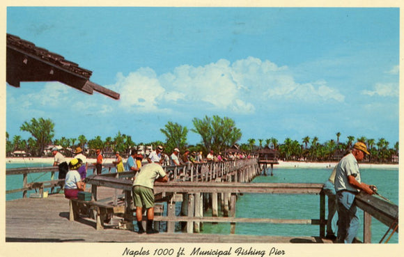 Naples 1000 ft. Municipal Fishing Pier, Naples, FL - Carey's Emporium