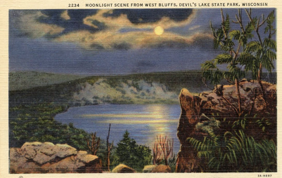Moonlight Scene from West Bluffs, Devil's Lake State Park, WI - Carey's Emporium