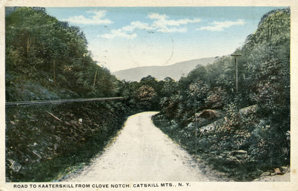 Road to Kaaterskill from Clove Notch, Catskill Mts., NY - Carey's Emporium