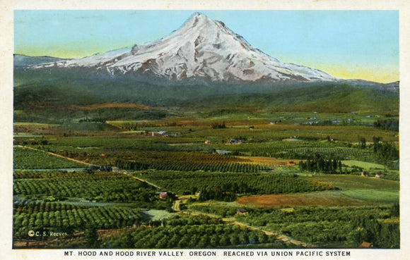 Mt. Hood and Hood River Valley, OR - Carey's Emporium