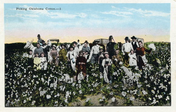 Picking Oklahoma Cotton - Carey's Emporium
