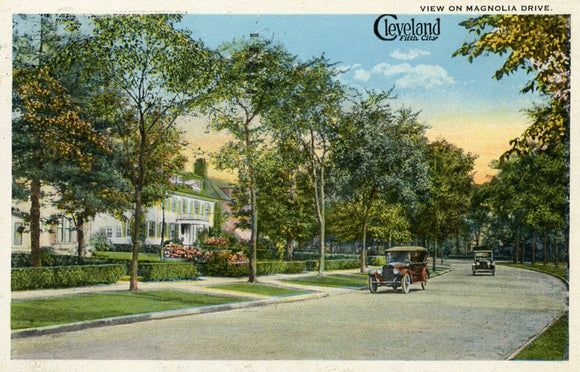 View on Magnolia Drive, Cleveland, OH - Carey's Emporium