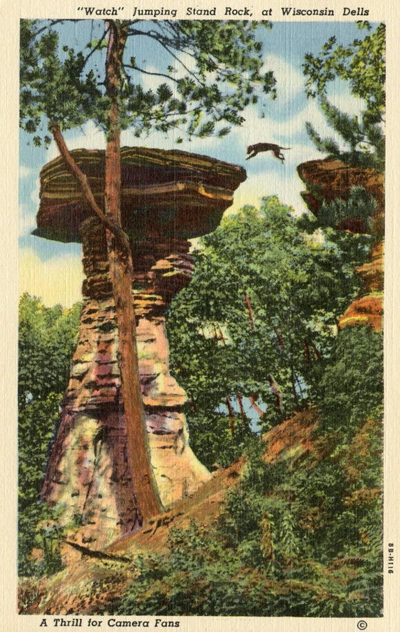 Watch Jumping Stand Rock, at Wisconsin Dells, WI - Carey's Emporium