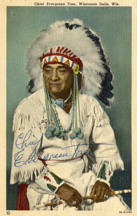 Chief Evergreen Tree, Wisconsin Dells, WI - Carey's Emporium