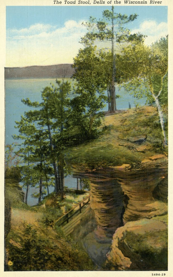 Toad Stool, Dells of the Wisconsin River, WI - Carey's Emporium