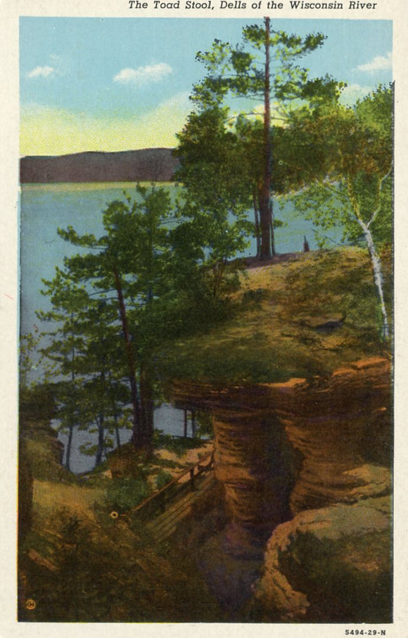 Toad Stool, Dells of the Wisconsin River, WI - Carey's Emporium