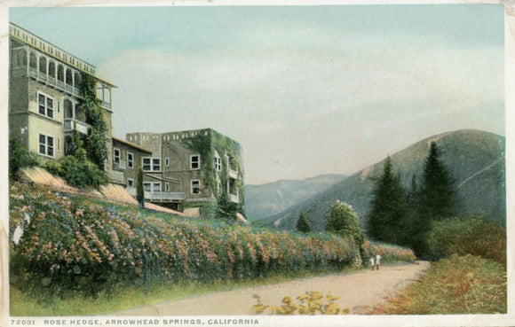 Rose Hedge, Arrowhead Springs, CA - Carey's Emporium