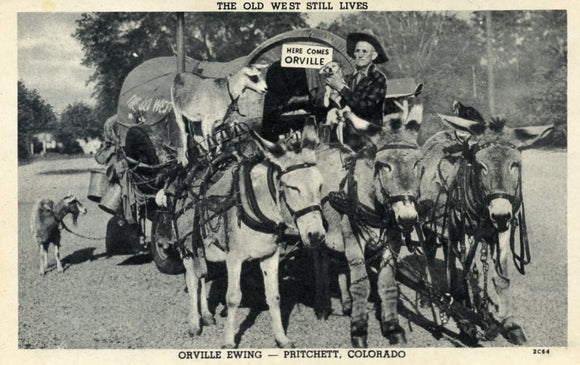 Orville Ewing, Pritchett, CO - Carey's Emporium