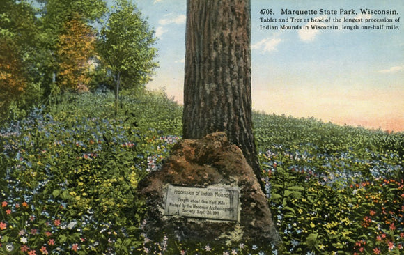 Tablet and Tree at head of the longest procession of Indian Mounds in Wisconsin, length one-half mile, Marquette State Park, WI - Carey's Emporium