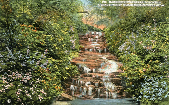 Shady Nook Where Wild Flowers Grow, Marquette State Park, WI - Carey's Emporium