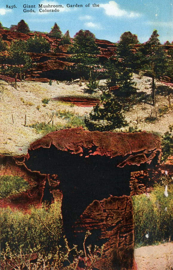 Giant Mushroom, Garden of the Gods, CO - Carey's Emporium