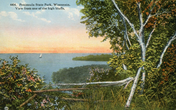 View from one of the High Bluiffs, Peninsula State Park, WI - Carey's Emporium