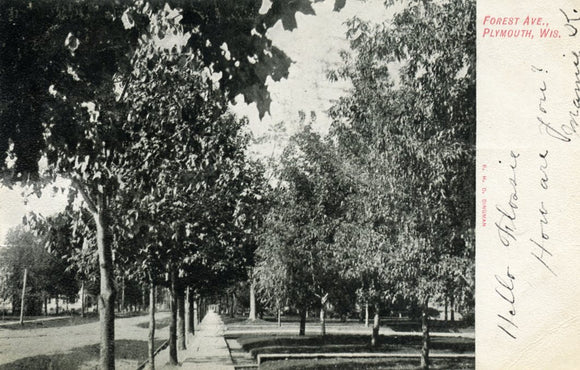 Forest Ave., Plymouth, WI - Carey's Emporium