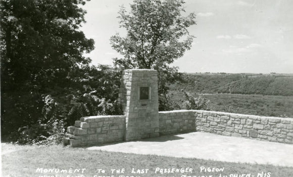 Monument to the Last Passenger Pigeon, Wyalusing State Park, Near Prairie du Chien, WI - Carey's Emporium