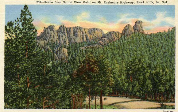 Scene from Grand View Point on Mt. Rushmore Highway, Black Hills, SD - Carey's Emporium