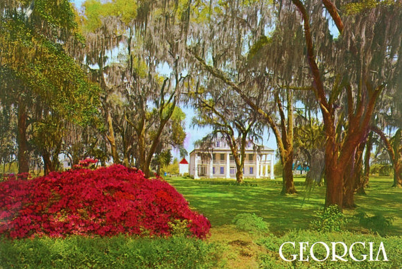 Georgia - Carey's Emporium