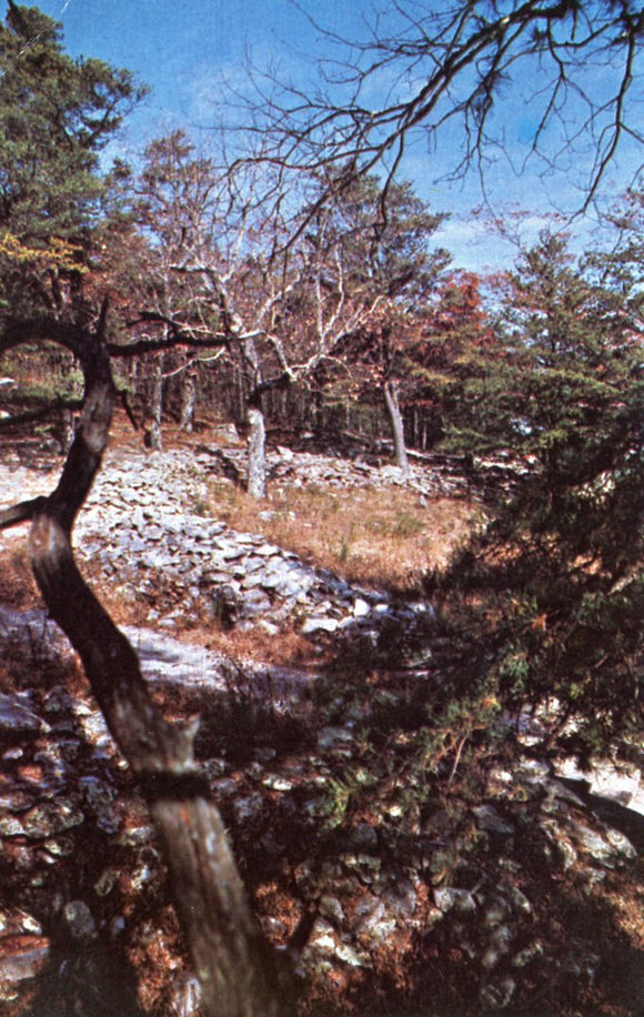 Fort Mountain, GA - Carey's Emporium