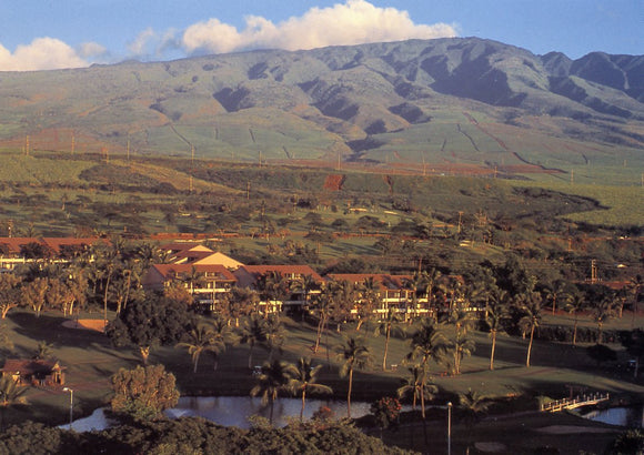 Kaanapali Royal, Lahaina, Maui, HI - Carey's Emporium