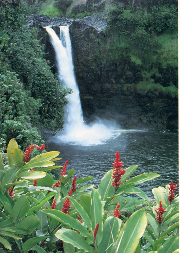Rainbow Falls near Hilo, Hawaii is the home of the mythical goddess Hina - Carey's Emporium