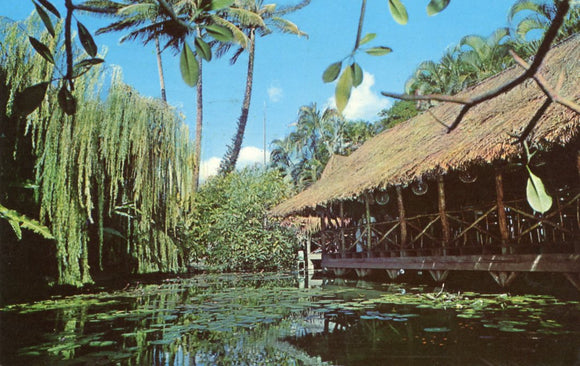 The Willows, 901 Hausten Street, Honolulu, HI - Carey's Emporium