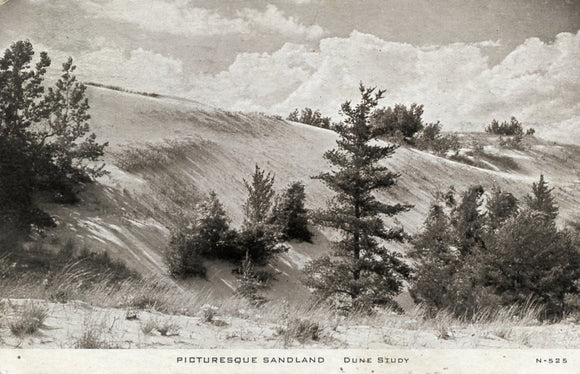 Picturesque Sandland Dune Study - Carey's Emporium