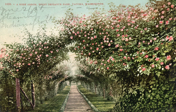 A Rose Arbor, Point Defiance Park, Tacoma, WA - Carey's Emporium