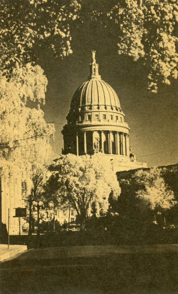 Wisconsin State Capitol, Madison, WI - Carey's Emporium