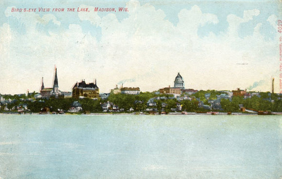 Bird's-Eye View from the Lake, Madison, WI - Carey's Emporium
