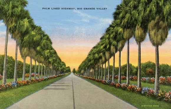 Palm Lined Highway, Rio Grande Valley, TX - Carey's Emporium