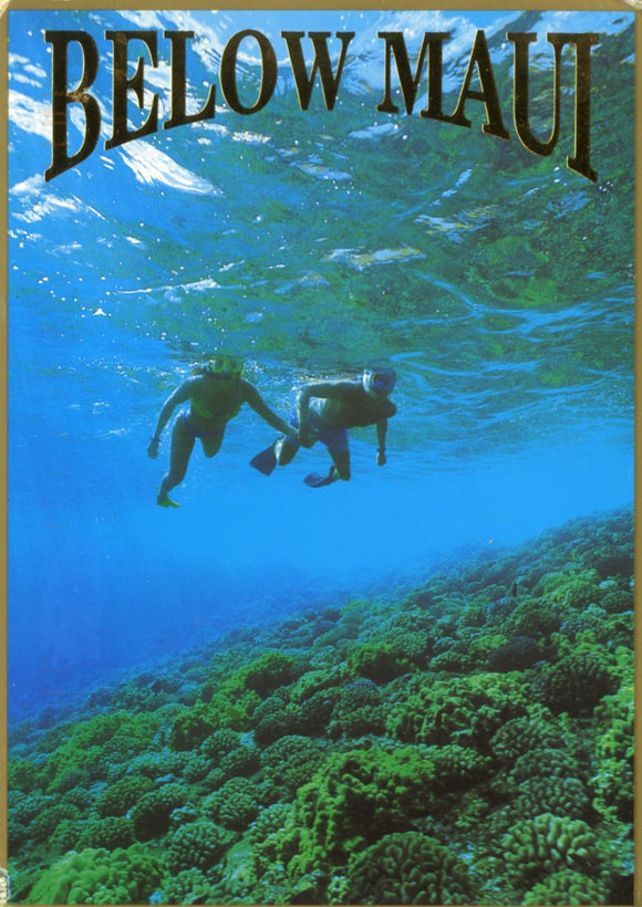 Below Maui, Off Maui's South Shore - Carey's Emporium