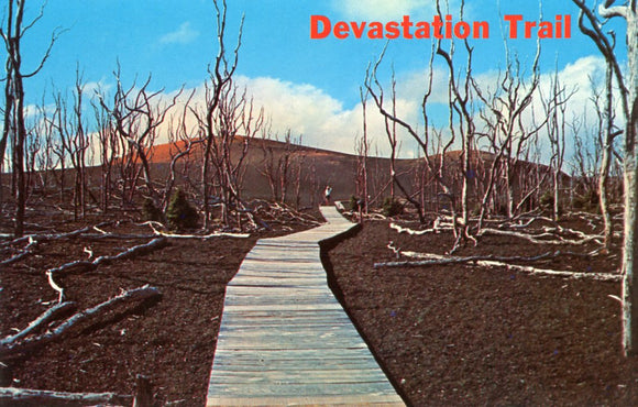 Devastation Trail, Hawaii Volcanoes National Park - Carey's Emporium