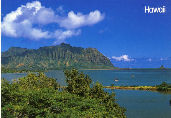 Kaneohe Bay, HI - Carey's Emporium