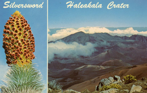 Haleakala Crater, Haleakala National Park - Carey's Emporium