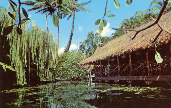 The Willows, 901 Hausten Street, Honolulu, HI - Carey's Emporium