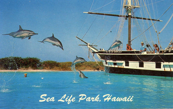 Sea Life Park, Makapuu Point, Oahu, HI - Carey's Emporium