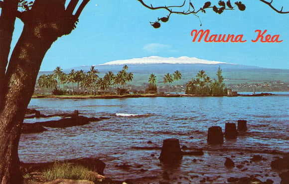 Mauna Kea, Hilo, HI - Carey's Emporium