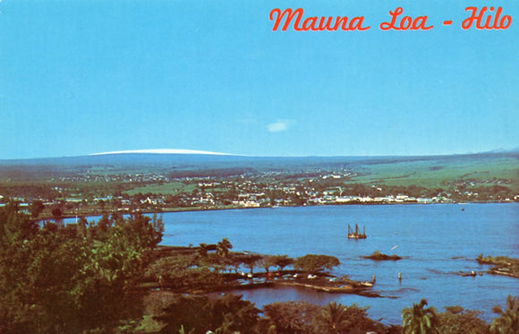 Mauna Loa, Hilo, HI - Carey's Emporium