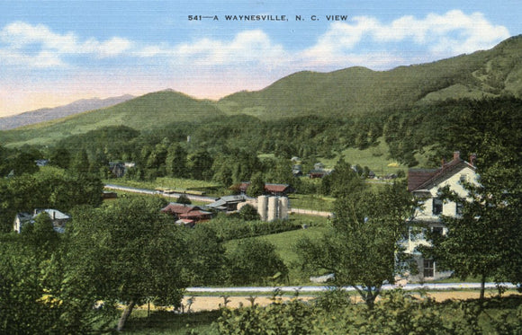 A Waynesville, NC View - Carey's Emporium