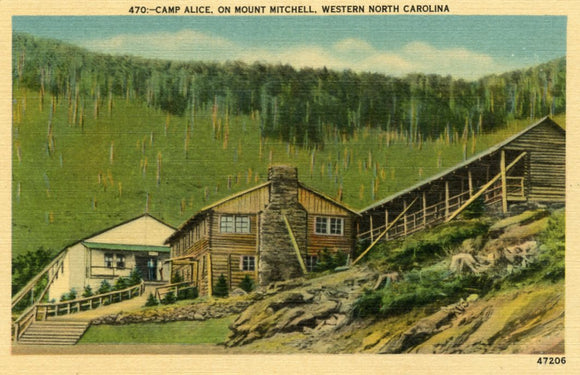 Camp Alice, on Mount Mitchell, Western NC - Carey's Emporium