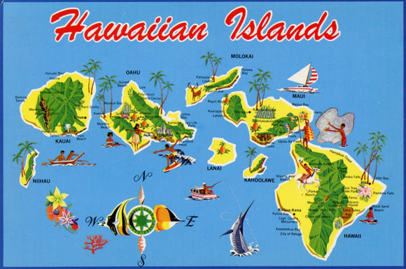 Aloha from the Hawaiian Islands - Carey's Emporium