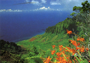 Kalalau Valley, HI - Carey's Emporium