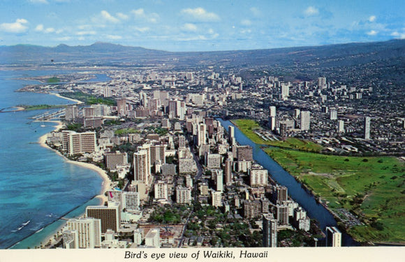 Bird's Eye View of Waikiki, HI - Carey's Emporium