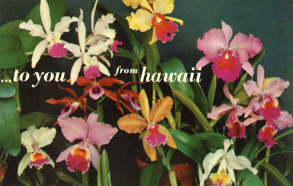 To You From Hawaii - Carey's Emporium