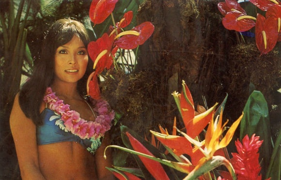 Lovely Hawaii - Carey's Emporium