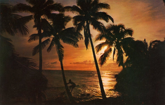 A Beautiful Sunset That is Typical of Many Places in Hawaii - Carey's Emporium