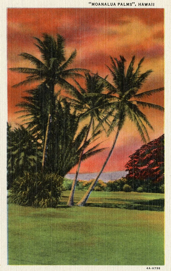 Moanalua Palms, HI - Carey's Emporium